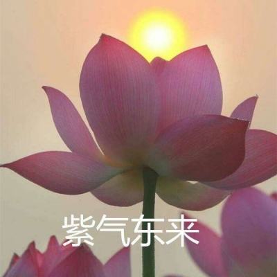 果盘东方归言录手游下载